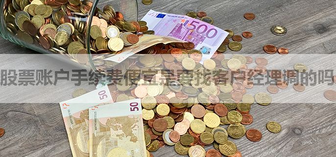 股票账户手续费便宜是要找客户经理调的吗，什么流程