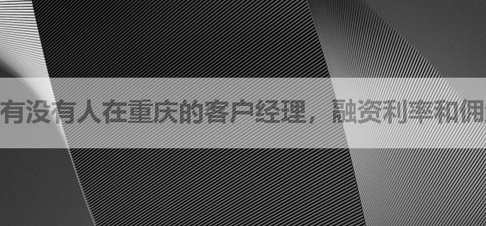 有没有人在重庆的客户经理，融资利率和佣金多少