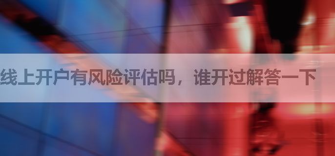 线上开户有风险评估吗，谁开过解答一下