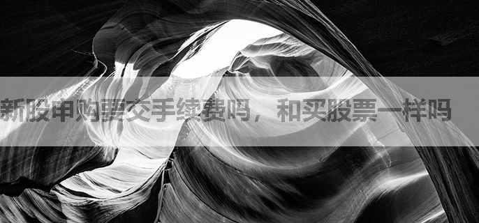 新股申购要交手续费吗，和买股票一样吗
