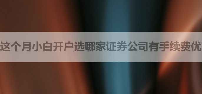 这个月小白开户选哪家证券公司有手续费优惠政策