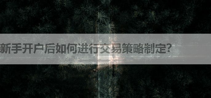 新手开户后如何进行交易策略制定？