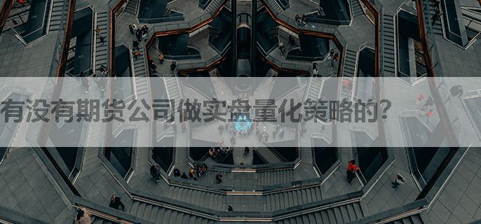 有没有期货公司做实盘量化策略的？