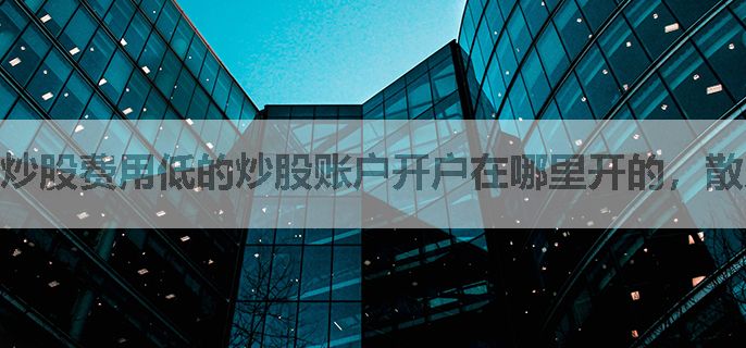 炒股费用低的炒股账户开户在哪里开的，散户能开吗