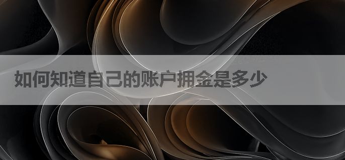 如何知道自己的账户拥金是多少