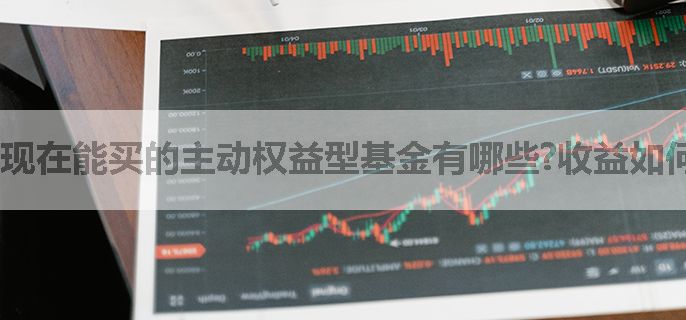 现在能买的主动权益型基金有哪些?收益如何？
