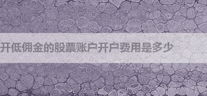 开低佣金的股票账户开户费用是多少