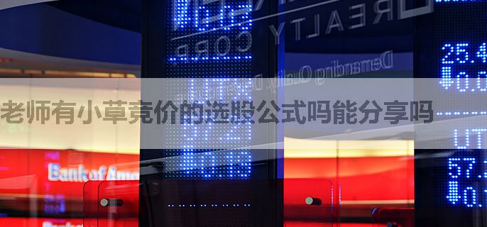 老师有小草竞价的选股公式吗能分享吗