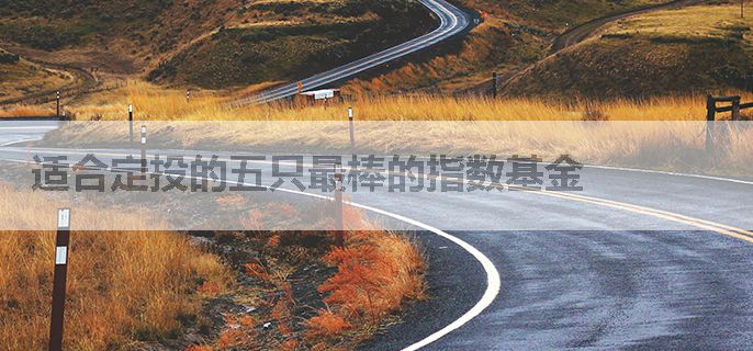 适合定投的五只最棒的指数基金