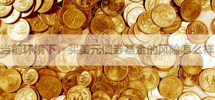 当前环境下，买美元债券基金的风险怎么样？