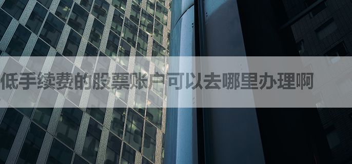 低手续费的股票账户可以去哪里办理啊