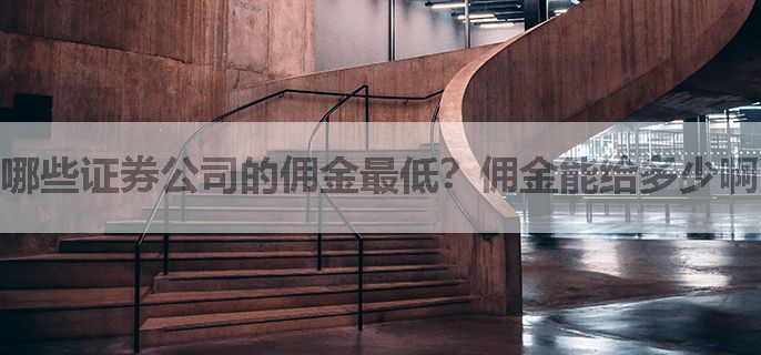 哪些证券公司的佣金最低？佣金能给多少啊？