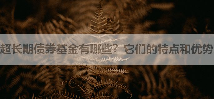 超长期债券基金有哪些？它们的特点和优势是什么？