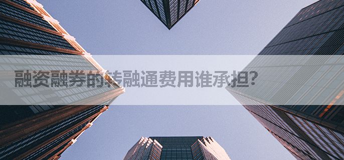 融资融券的转融通费用谁承担？