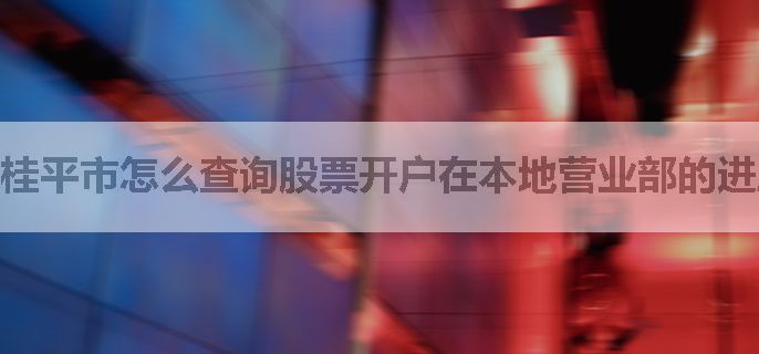 桂平市怎么查询股票开户在本地营业部的进度？