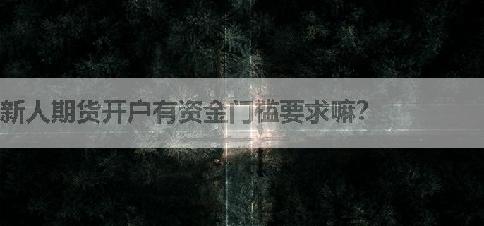 新人期货开户有资金门槛要求嘛？