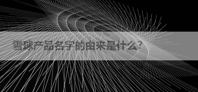 雪球产品名字的由来是什么？
