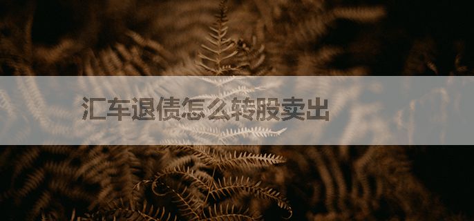 汇车退债怎么转股卖出