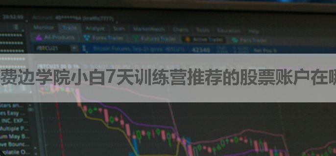 费边学院小白7天训练营推荐的股票账户在哪里开
