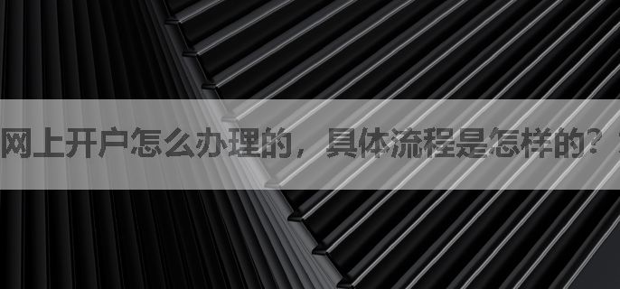 网上开户怎么办理的，具体流程是怎样的？求老师指点
