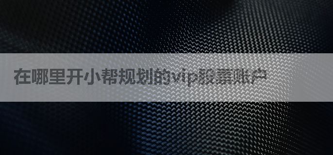 在哪里开小帮规划的vip股票账户