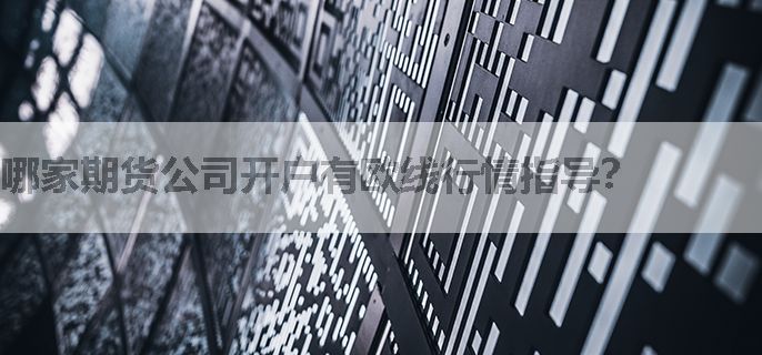 哪家期货公司开户有欧线行情指导？