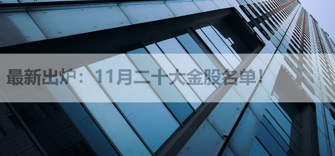 最新出炉：11月二十大金股名单！