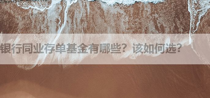 银行同业存单基金有哪些？该如何选？