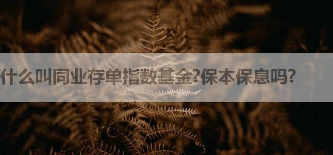 什么叫同业存单指数基金?保本保息吗?