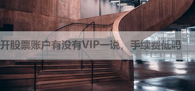 开股票账户有没有VIP一说，手续费低吗
