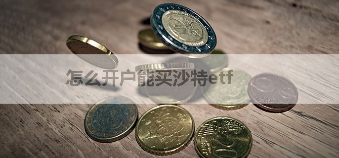 怎么开户能买沙特etf