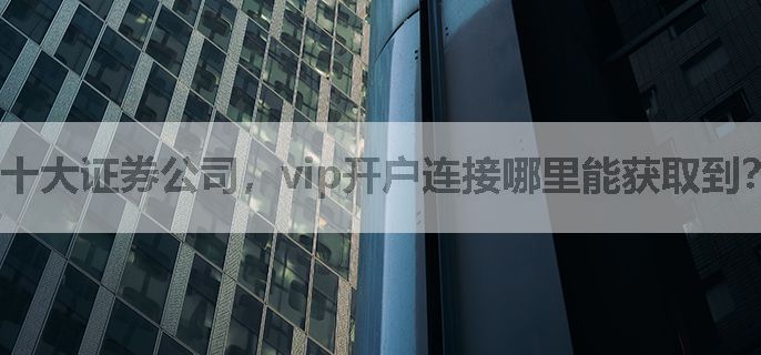 十大证券公司，vip开户连接哪里能获取到？