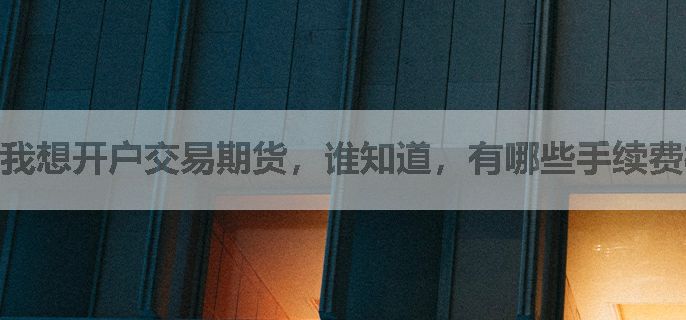 我想开户交易期货，谁知道，有哪些手续费标准比较低，排名还靠前的期货公司？