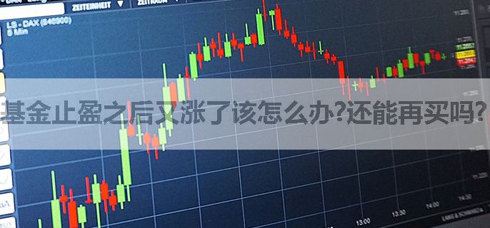 基金止盈之后又涨了该怎么办?还能再买吗?