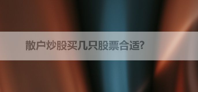 散户炒股买几只股票合适?