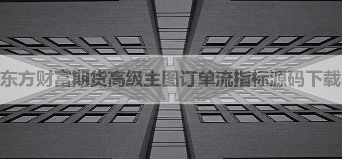东方财富期货高级主图订单流指标源码下载