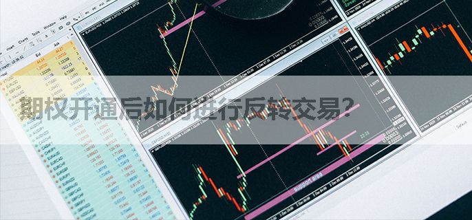 期权开通后如何进行反转交易？