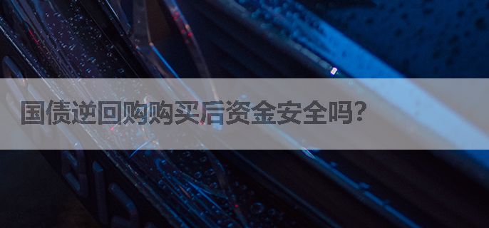 国债逆回购购买后资金安全吗？