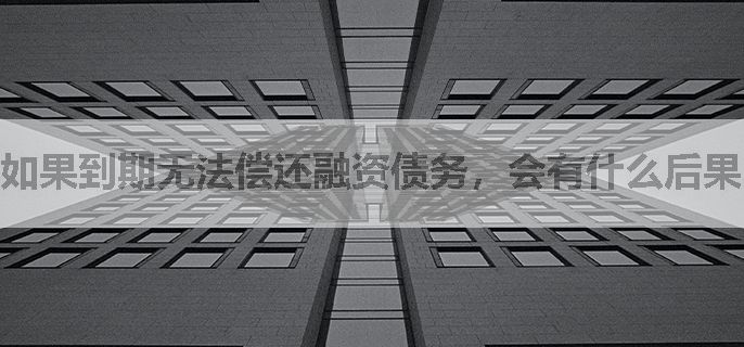 如果到期无法偿还融资债务，会有什么后果？