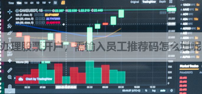 办理股票开户，需输入员工推荐码怎么填呢