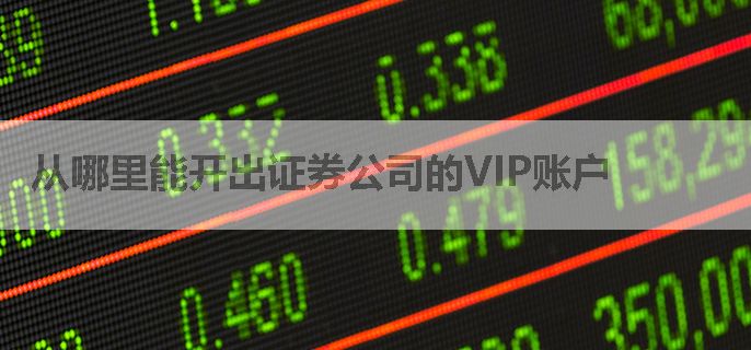 从哪里能开出证券公司的VIP账户