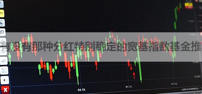 有没有那种分红特别稳定的宽基指数基金推荐？