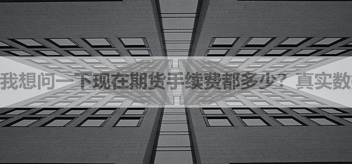 我想问一下现在期货手续费都多少？真实数据