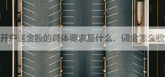 开户送金股的具体要求是什么，佣金怎么收