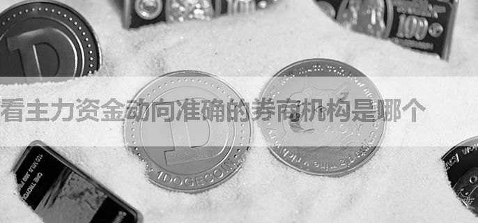 看主力资金动向准确的券商机构是哪个