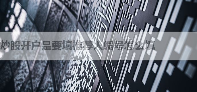 炒股开户是要填推荐人编号怎么填
