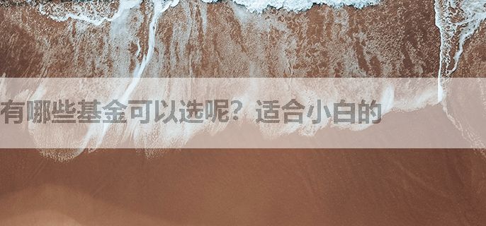 有哪些基金可以选呢？适合小白的