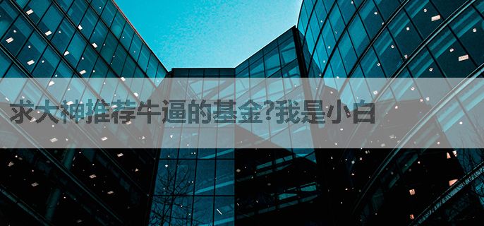 求大神推荐牛逼的基金?我是小白