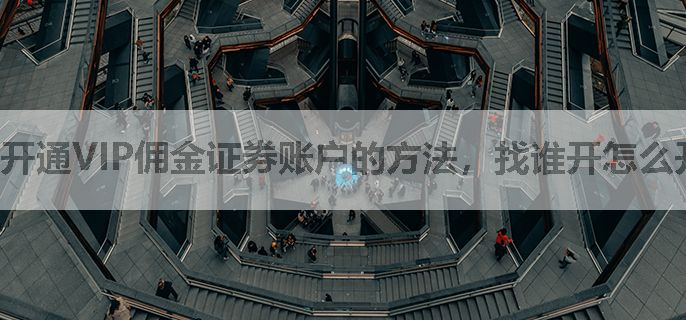 开通VIP佣金证券账户的方法，找谁开怎么开