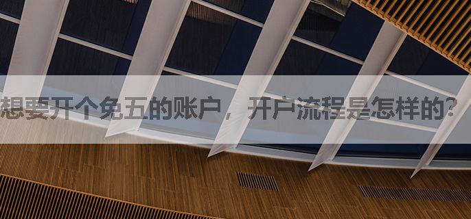 想要开个免五的账户，开户流程是怎样的？